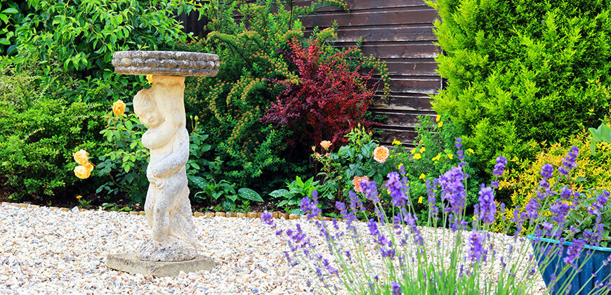 Landscaping for Beginners: Low-Maintenance Yard Ideas, Native Plants, Irrigation Systems, Outdoor Lighting, Costs, and Seasonal Care